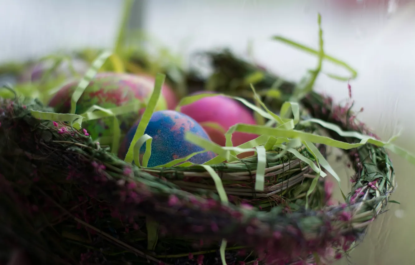 Фото обои праздник, яица, Easter, Basket