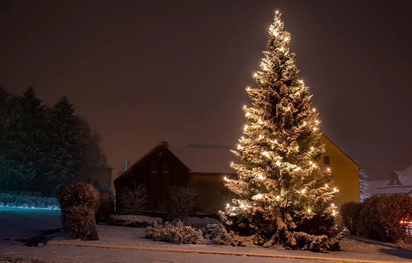 Фото обои зима, дорога, снег, деревья, ночь, огни, туман, праздник