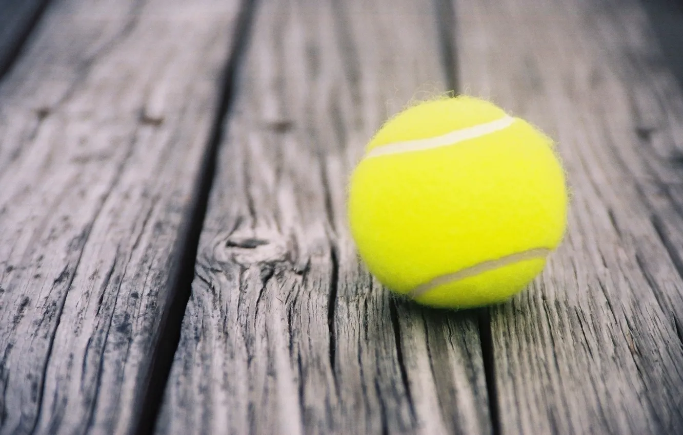 Фото обои wallpaper, ball, Sport, Tennis