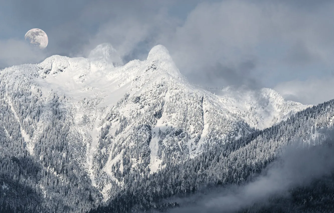 Фото обои зима, лес, небо, облака, свет, снег, горы, скалы