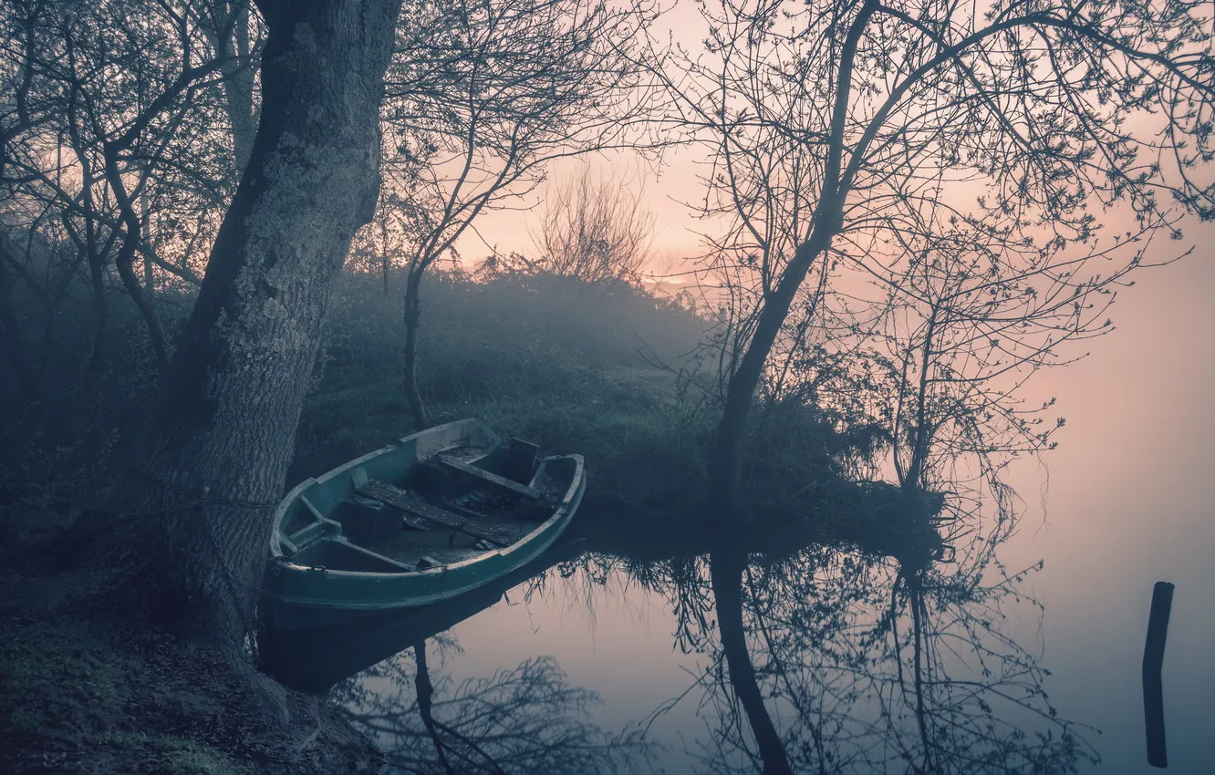 Фото обои туман, река, лодка