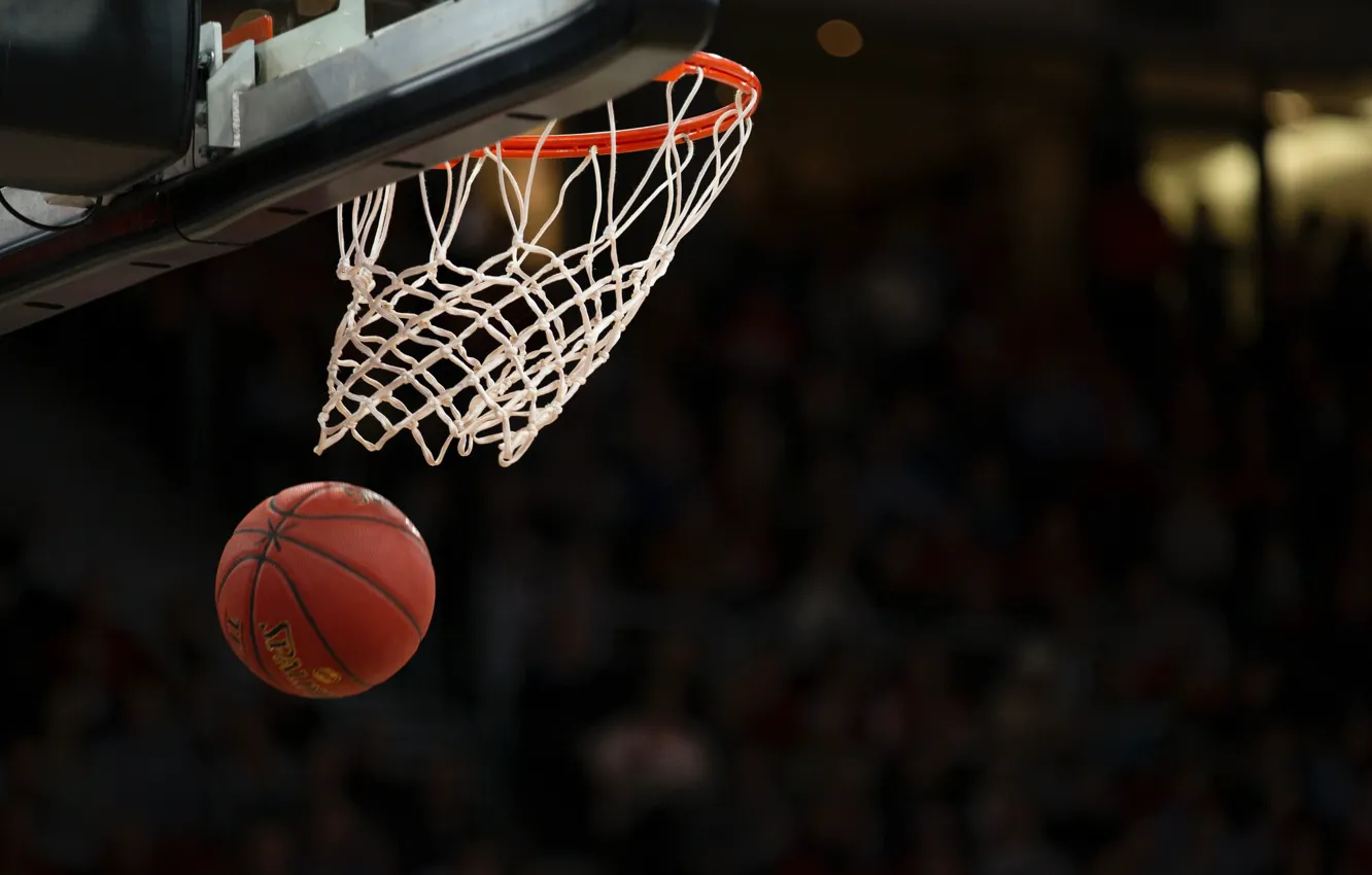Фото обои корзина, мяч, кольцо, щит, баскетбол, basketball