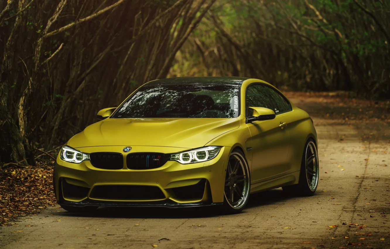 Фото обои bmw, gold, yellow, f82