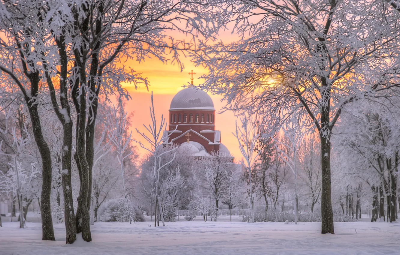 Фото обои зима, снег, деревья, рассвет, утро, Санкт-Петербург, храм, Россия