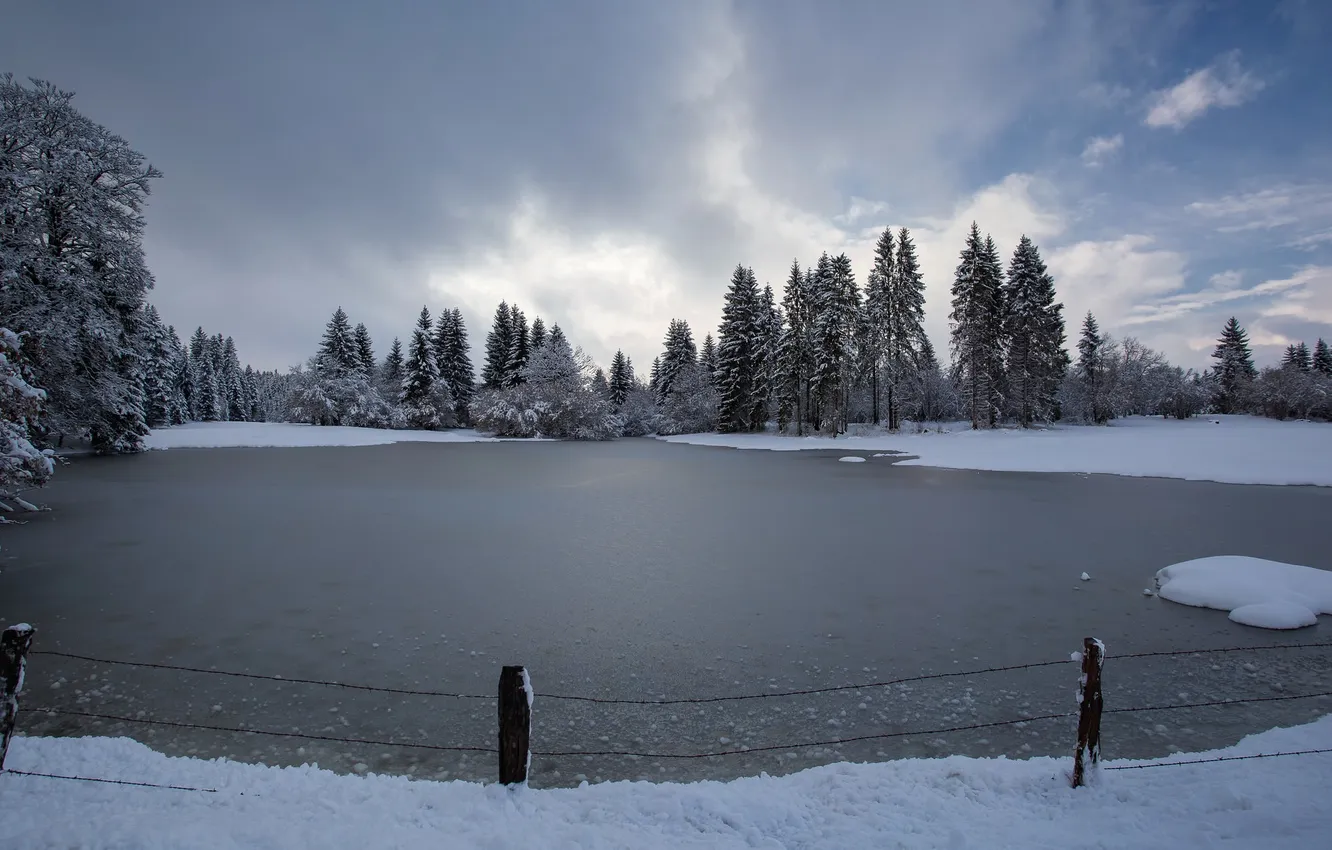 Фото обои зима, озеро, забор