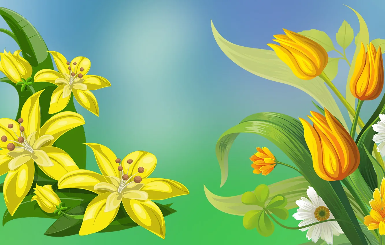 Фото обои Grafika, Tulipany, Kwiaty, Lilie