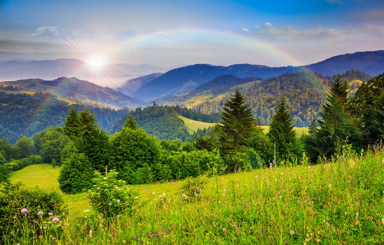 Фото обои лес, деревья, горы, природа, радуга, rainbow, trees, nature