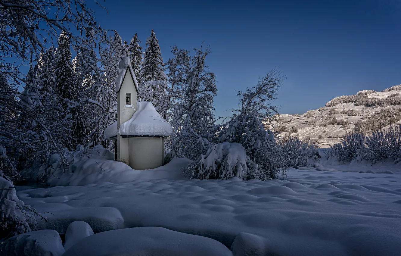 Фото обои зима, снег, деревья, пейзаж, природа, Швейцария, церковь, кусты