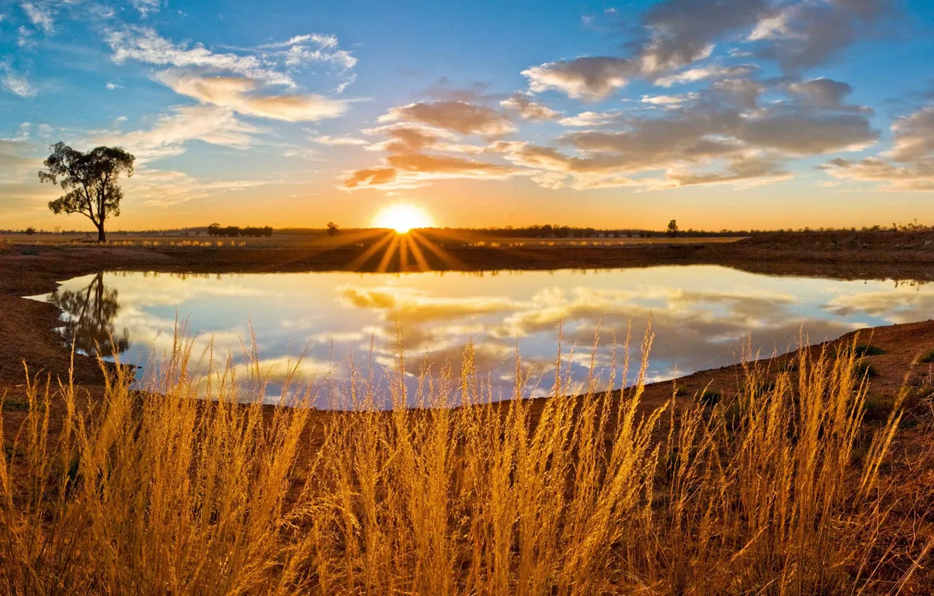 Фото обои трава, солнце, облака, озеро, 155