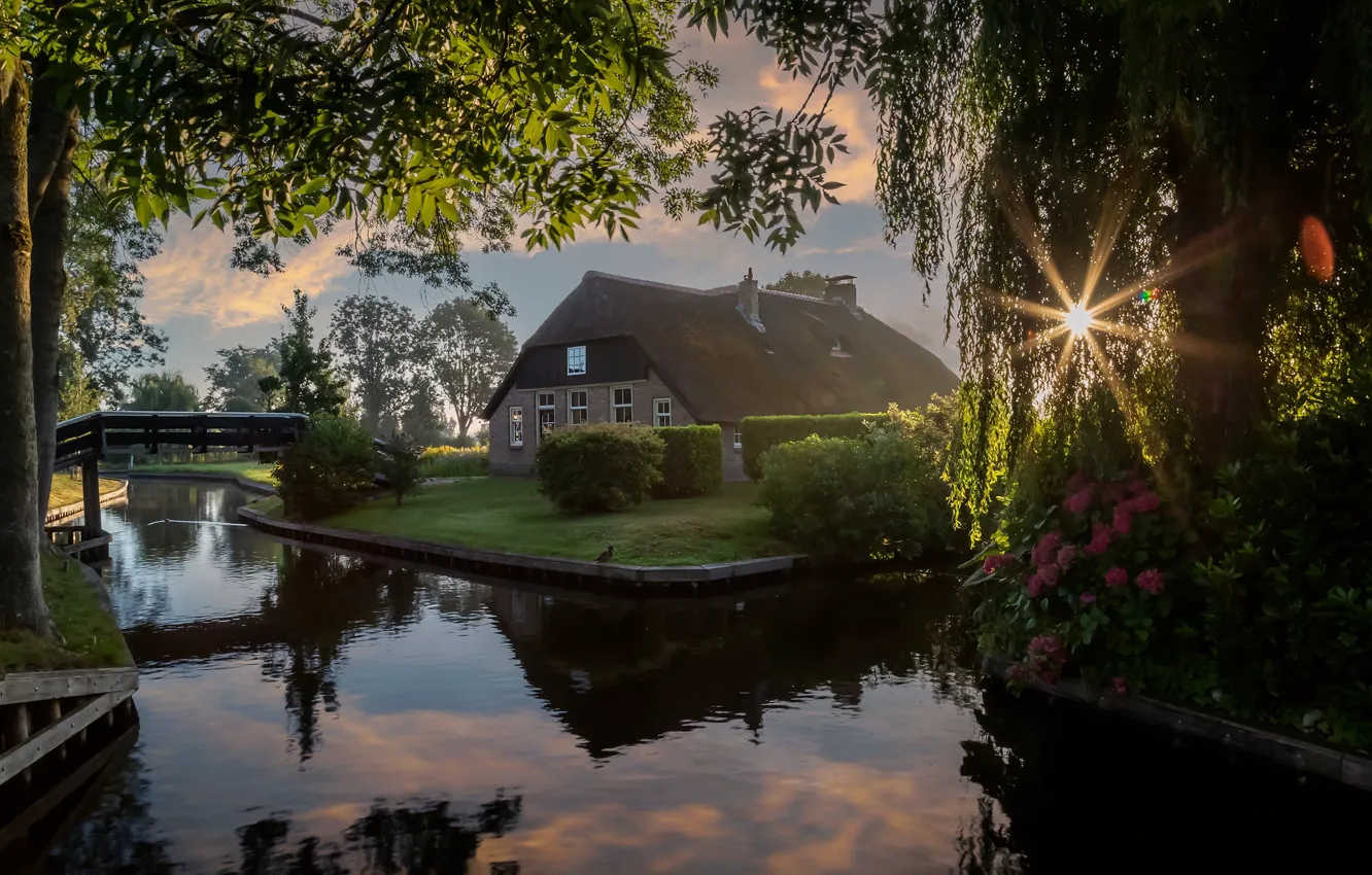 Фото обои лето, небо, солнце, лучи, свет, деревья, пейзаж, закат