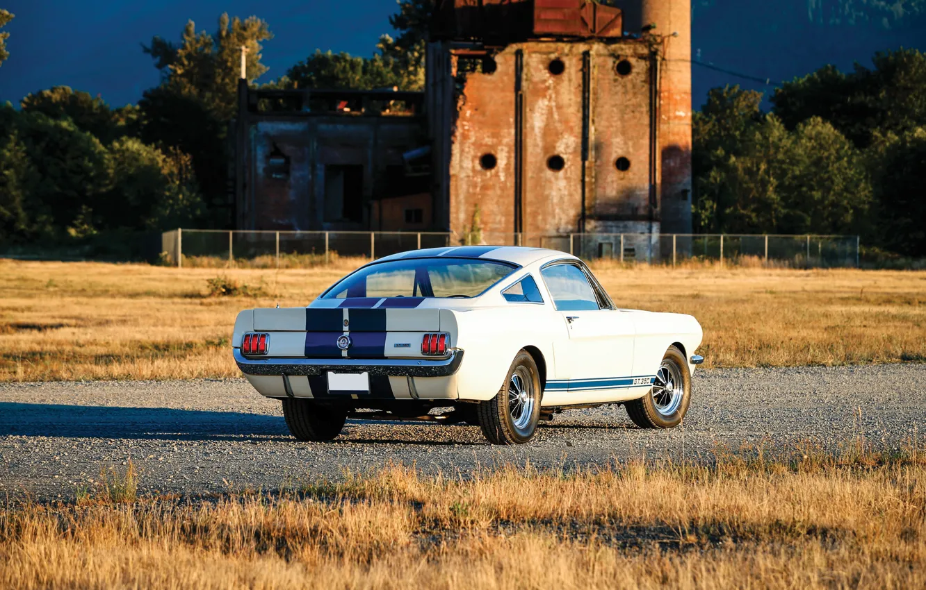 Фото обои Mustang, Ford, Ford Mustang Shelby GT350, rear view, blue stripes