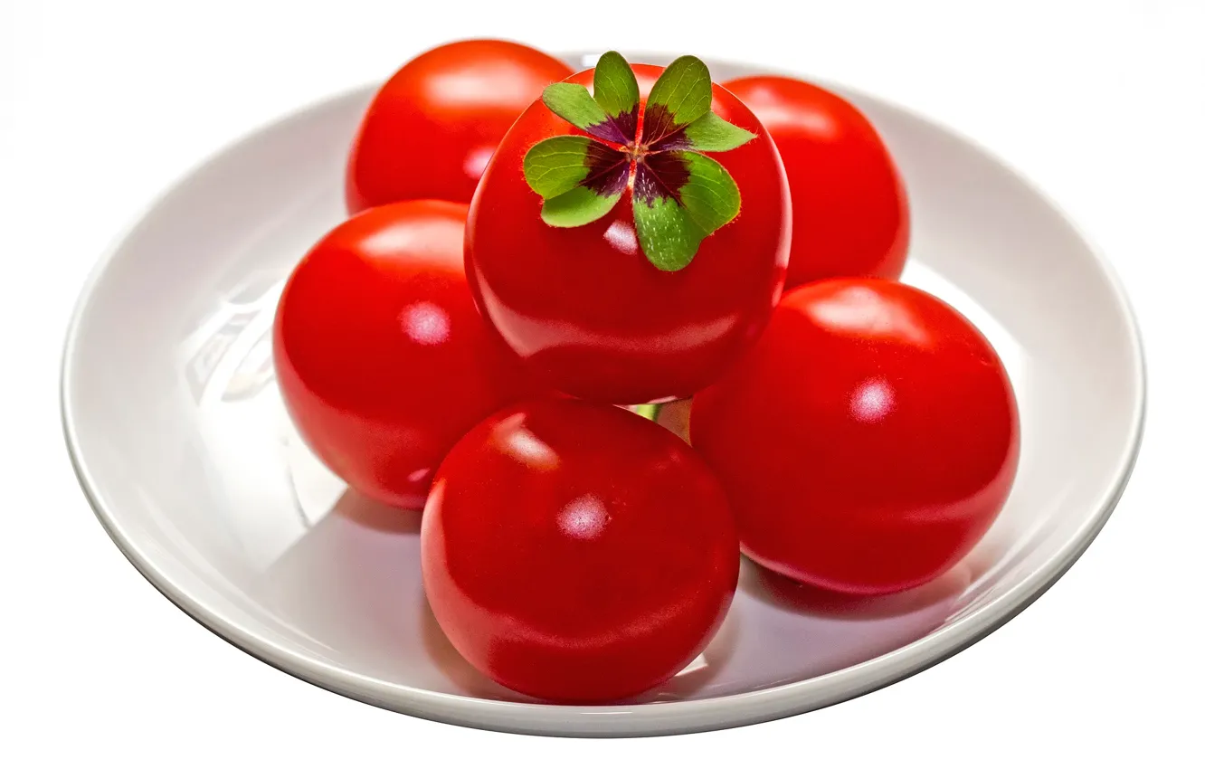 Фото обои фон, помидоры, томаты, Lucky tomatos