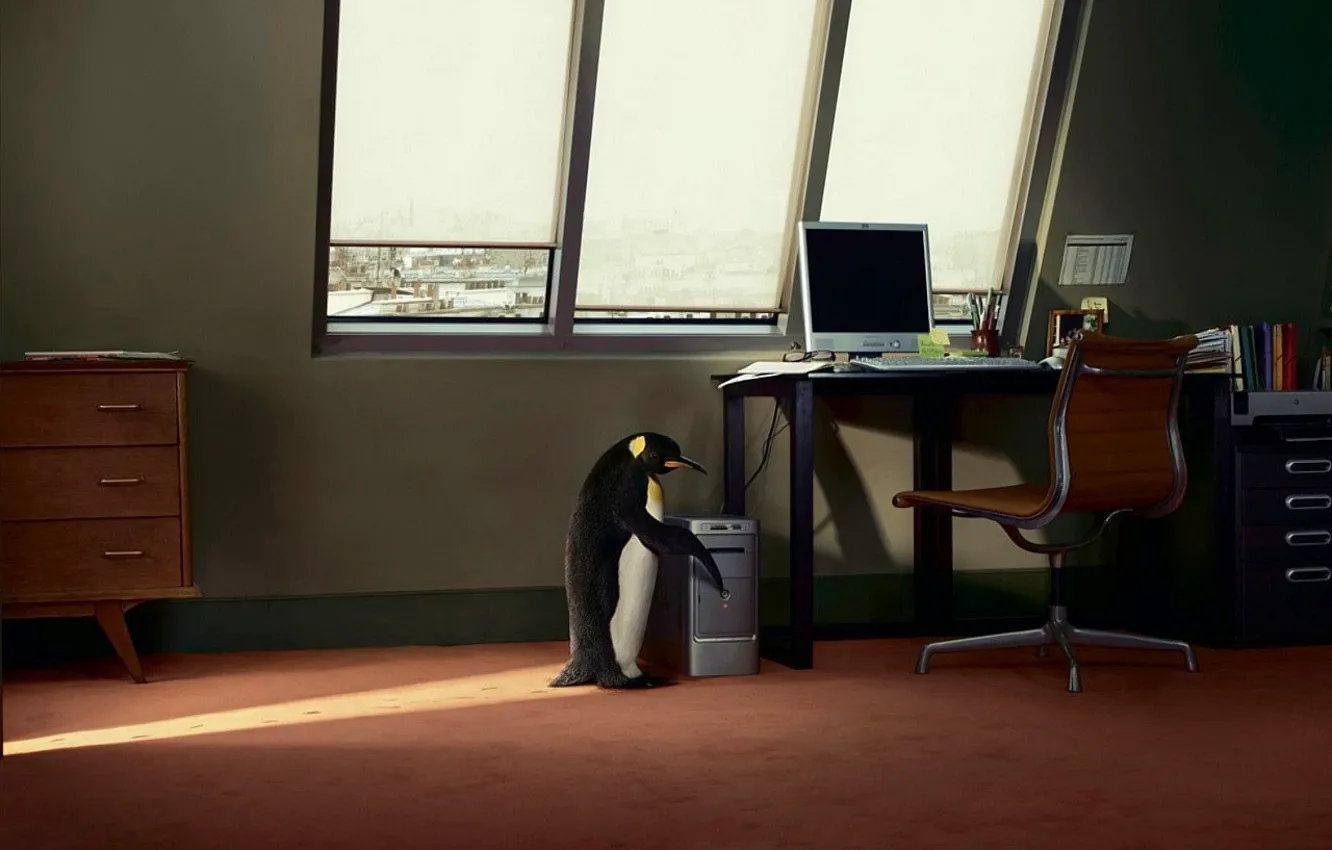 Фото обои компьютер, стол, окно, пингвин