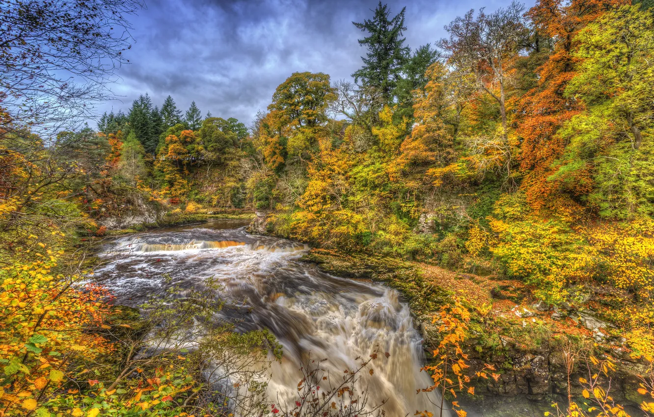 Фото обои осень, лес, ручей, течение, водопад, HDR, Шотландия, заповедник