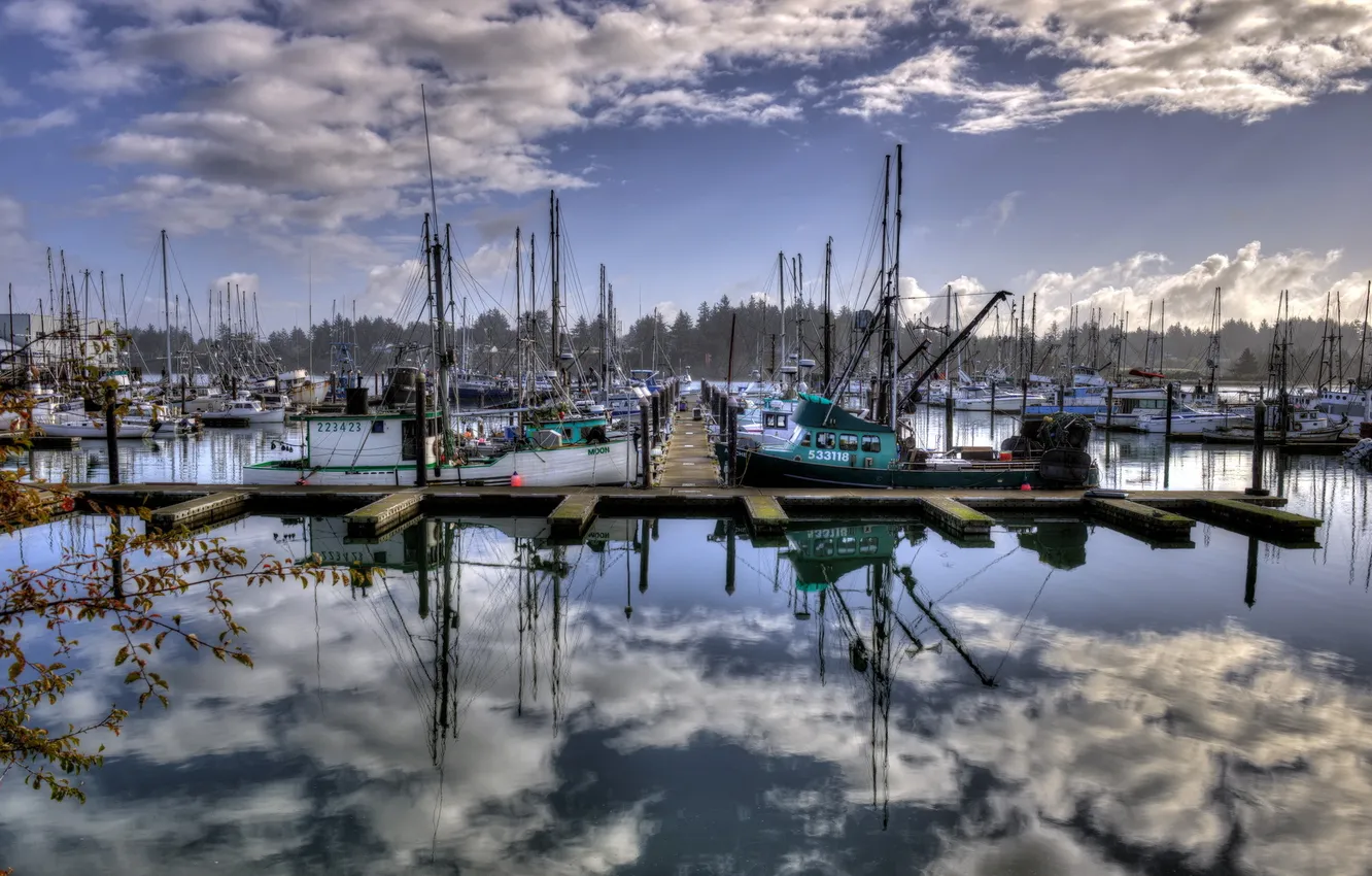 Фото обои лодки, причал, United States, Oregon, Charleston
