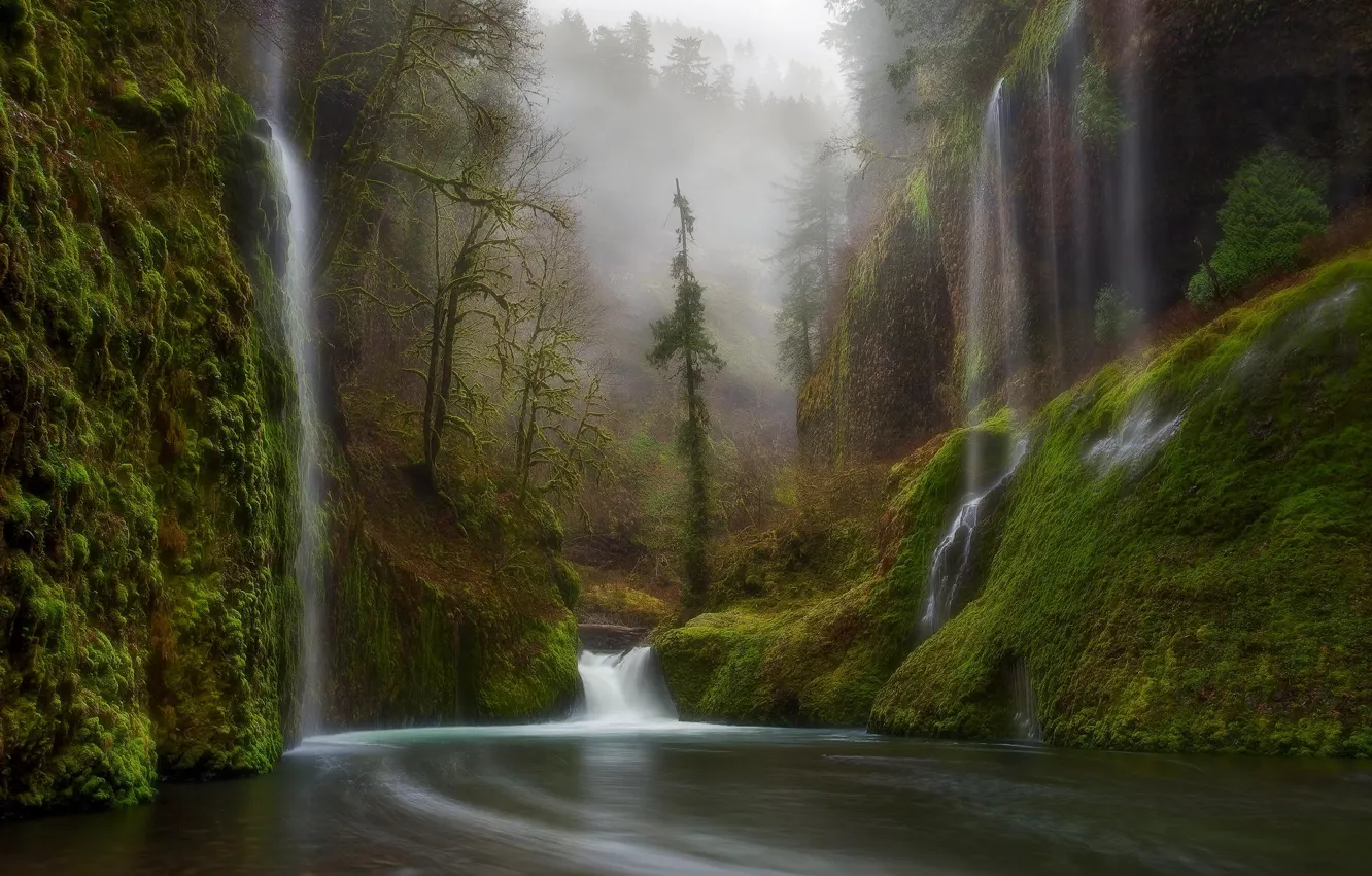 Фото обои лес, природа, река, водопад, Орегон, США