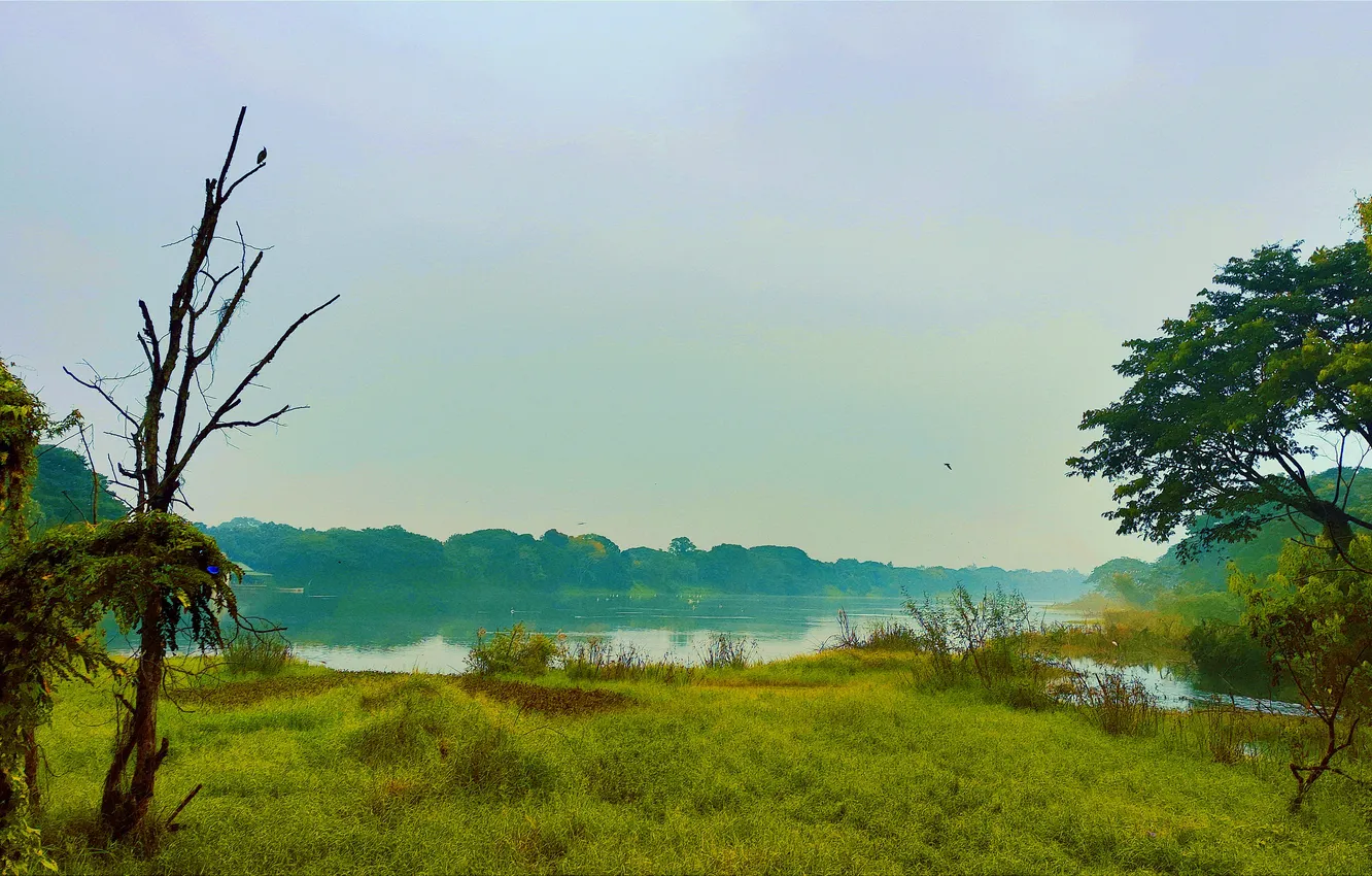 Фото обои Sky, Grass, Birds, Sun, Water, Cloudy, Dawn, Morning