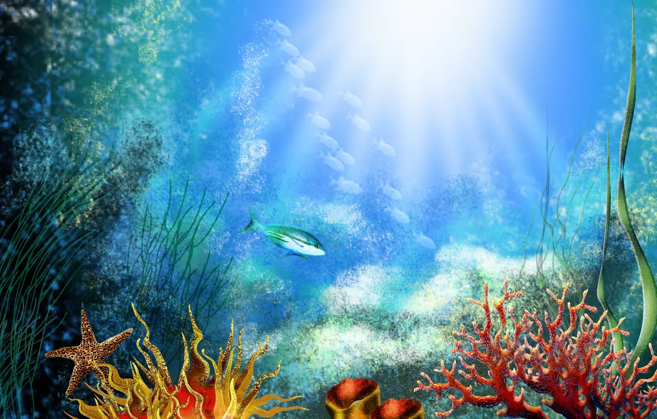 Фото обои рыбки, водоросли, кораллы, Дно