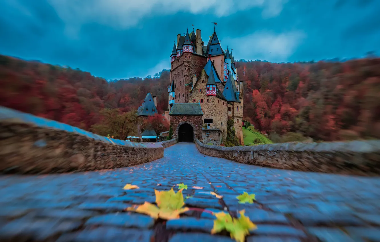 Фото обои осень, лес, листья, мост, замок, Германия, размытость, мостовая