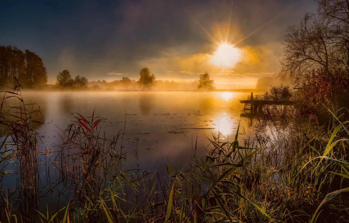 Фото обои солнце, лучи, деревья, туман, озеро, рассвет, Hubert Bichler