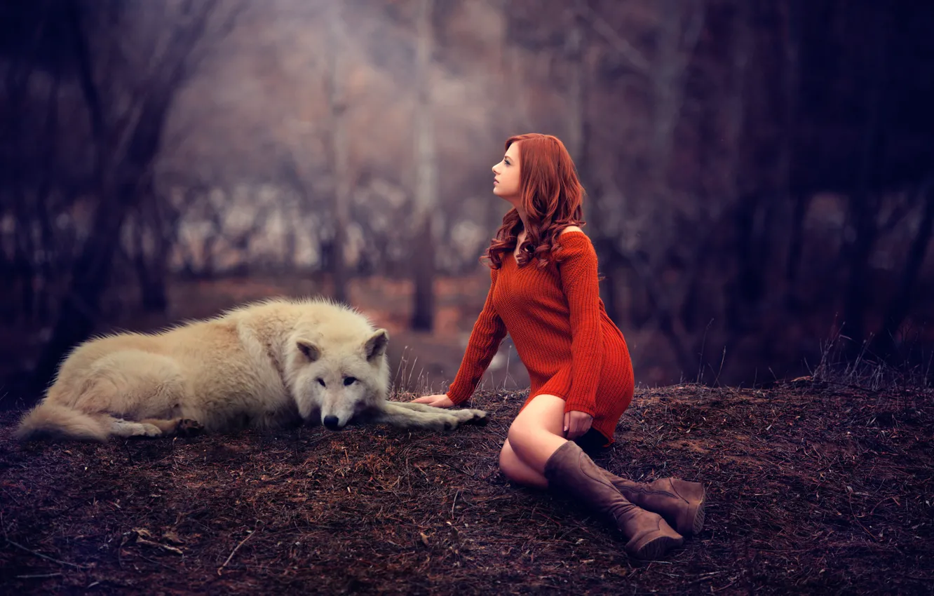 Фото обои девушка, волк, ножки, рыжеволосая, свитер, Melis