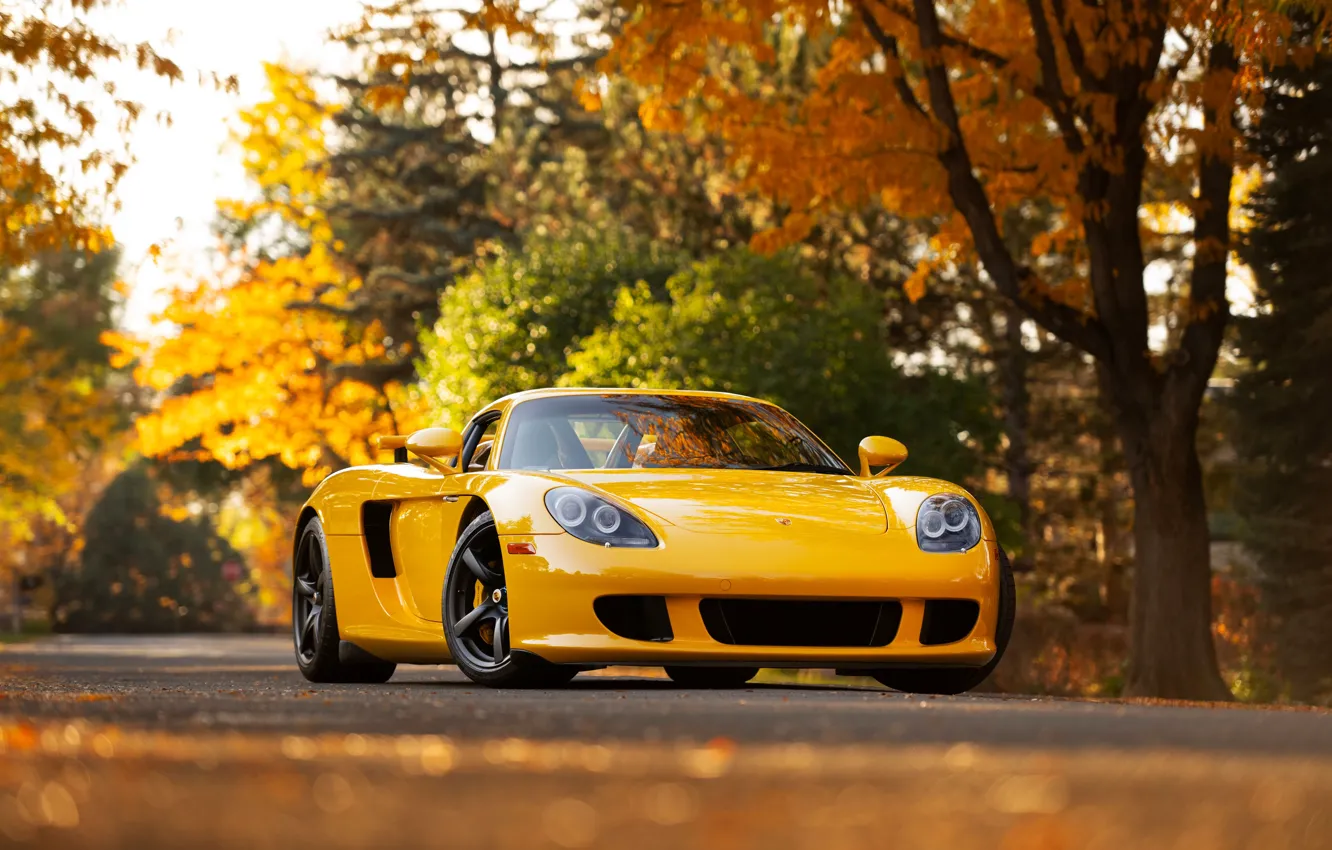 Фото обои Porsche, Porsche Carrera GT, front view