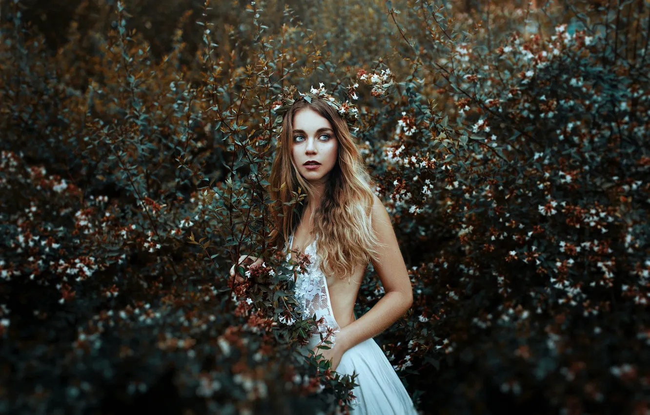 Фото обои девушка, настроение, платье, венок, кусты, Valentina Caballero