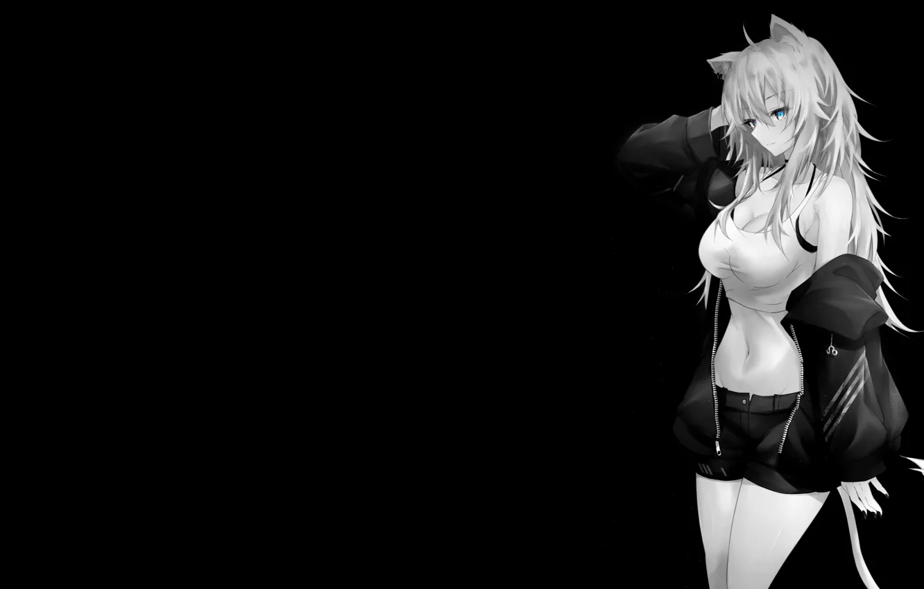 Фото обои girl, shorts, anime, tail, ears
