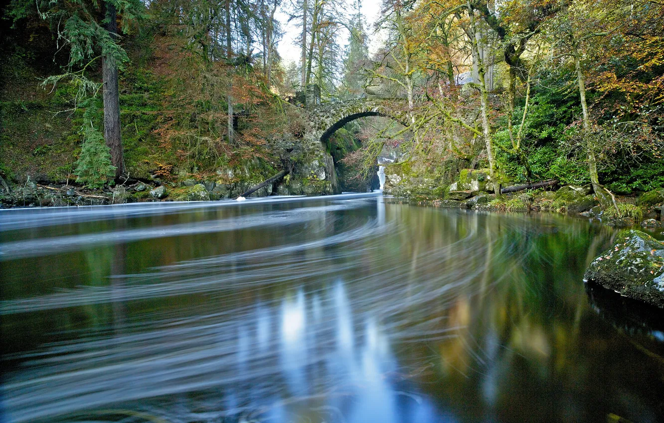 Фото обои осень, лес, деревья, мост, пруд, парк, река, арка