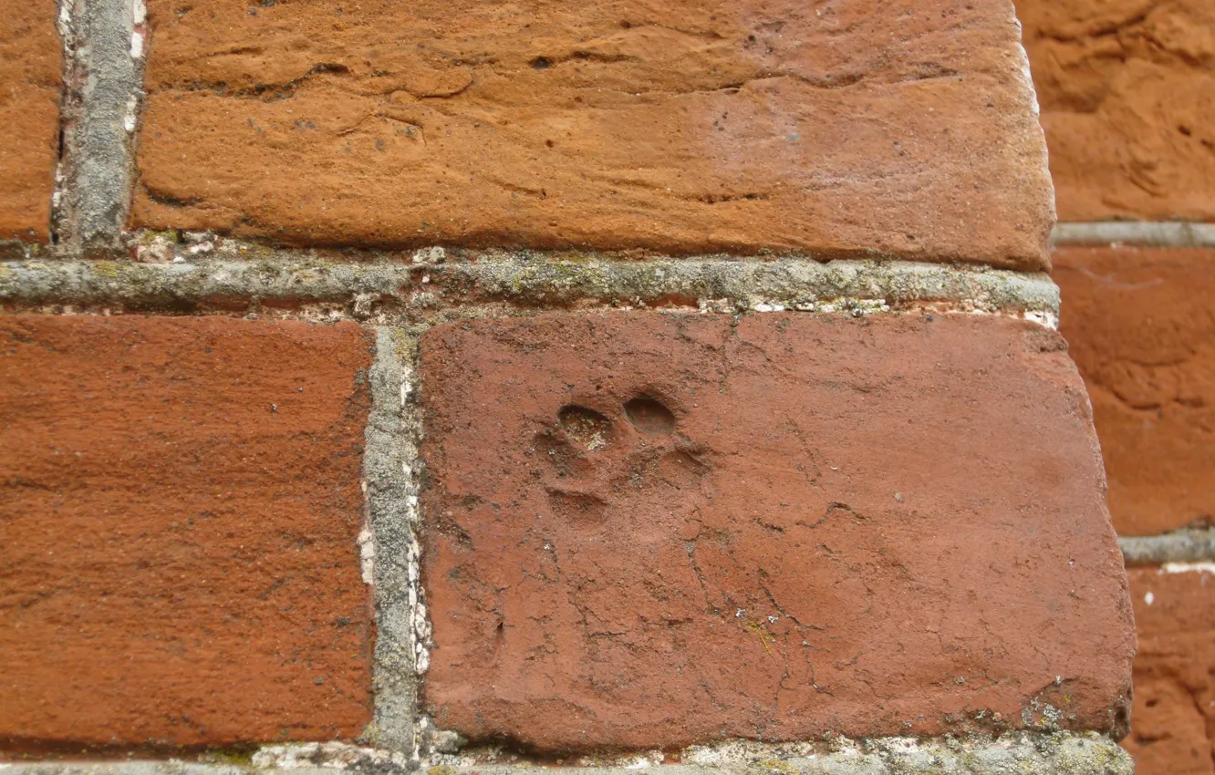 Фото обои кирпич, кирпичная стена, красный кирпич