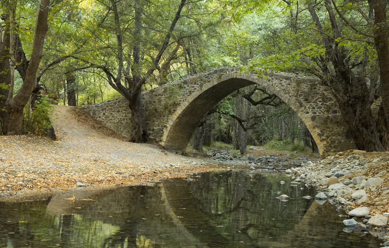 Фото обои лес, листья, деревья, мост, парк, отражение, река, ручей