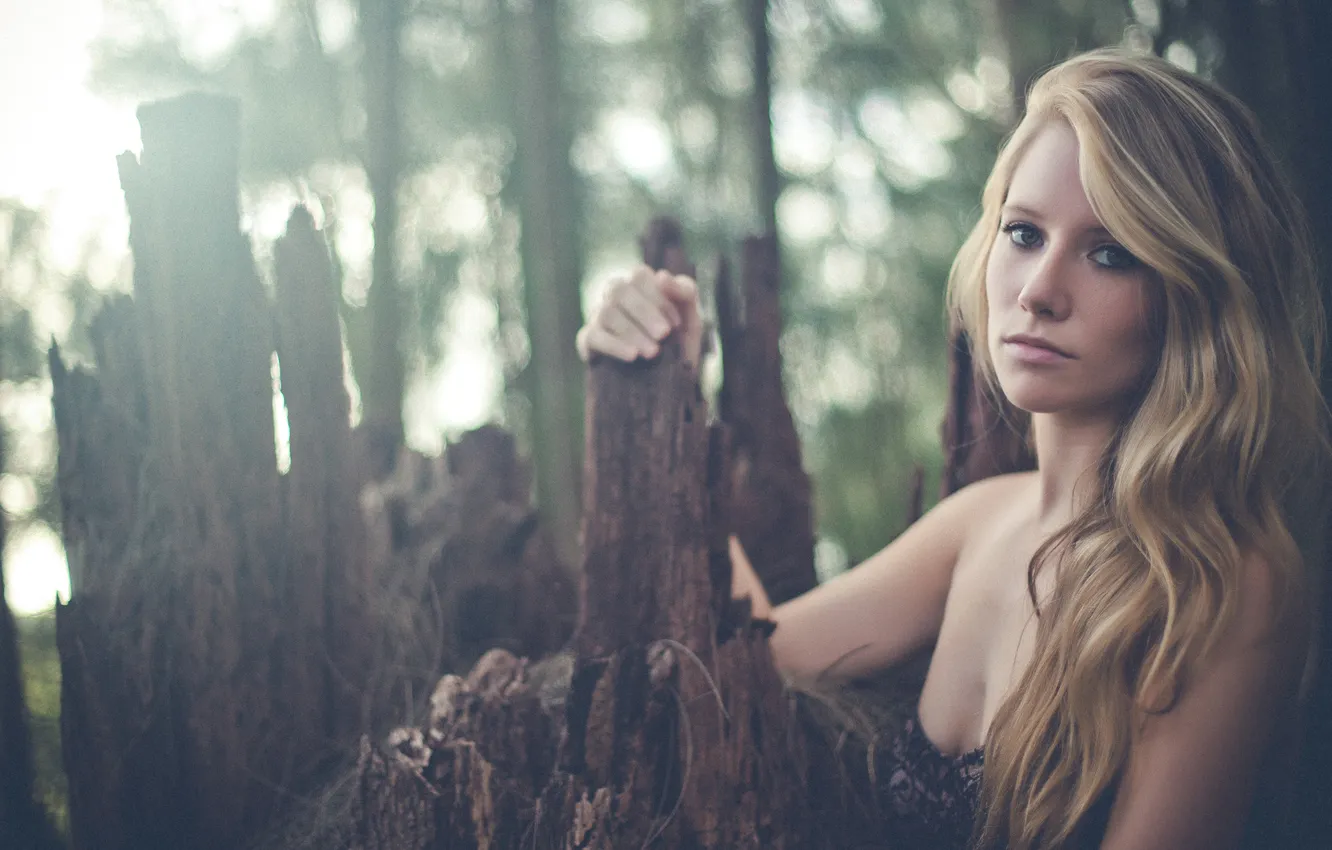 Фото обои девушка, лицо, фотограф, girl, кора, photography, photographer, Brian Storey