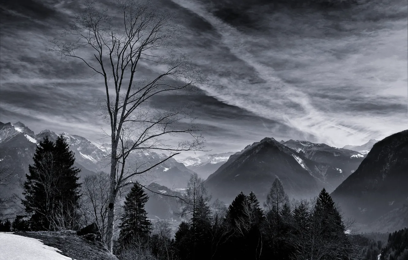 Фото обои зима, небо, облака, снег, деревья, горы, природа, скалы