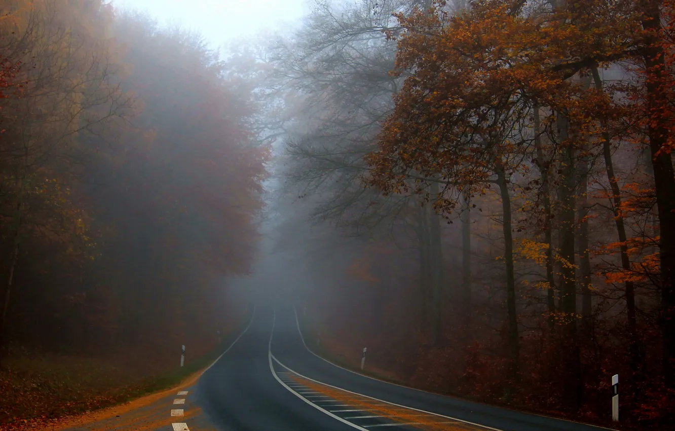 Фото обои Beautiful, Autumn, Road, Fog, Forest