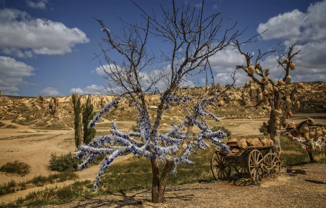 Фото обои sky, nature, yellow, tree, hills, Cappadocia, cart, Kide FotoArt