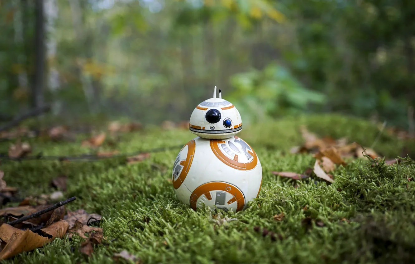 Фото обои Star Wars, grass, BB-8