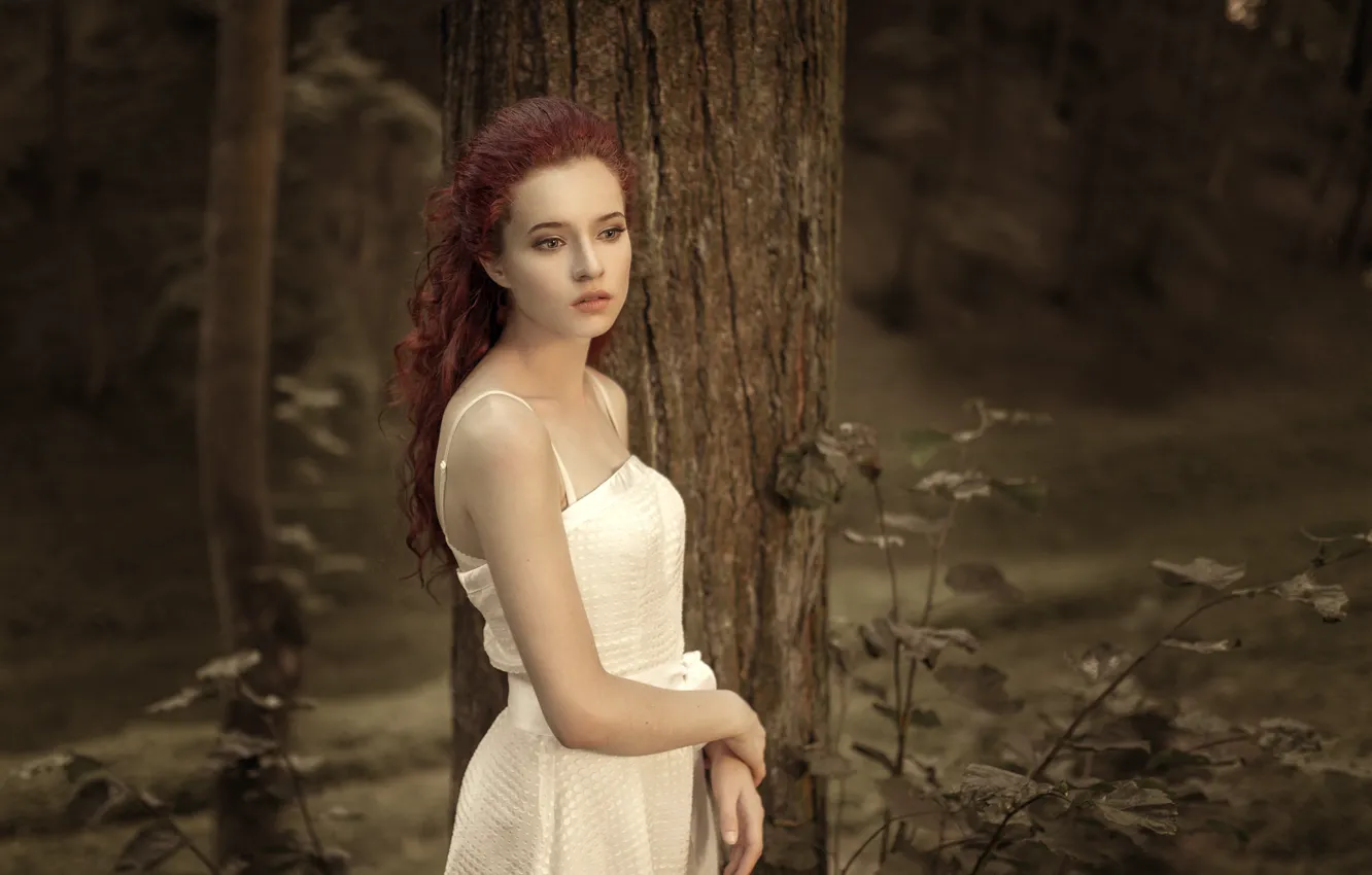 Фото обои девушка, платье, красивая, одна, в белом, боке, в лесу, у дерева
