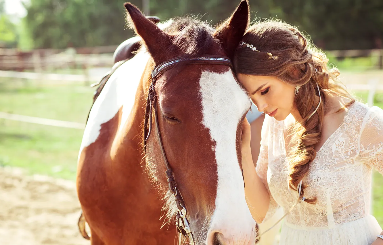 Фото обои лето, девушка, солнце, настроение, лошадь, платье, шатенка, прогулка