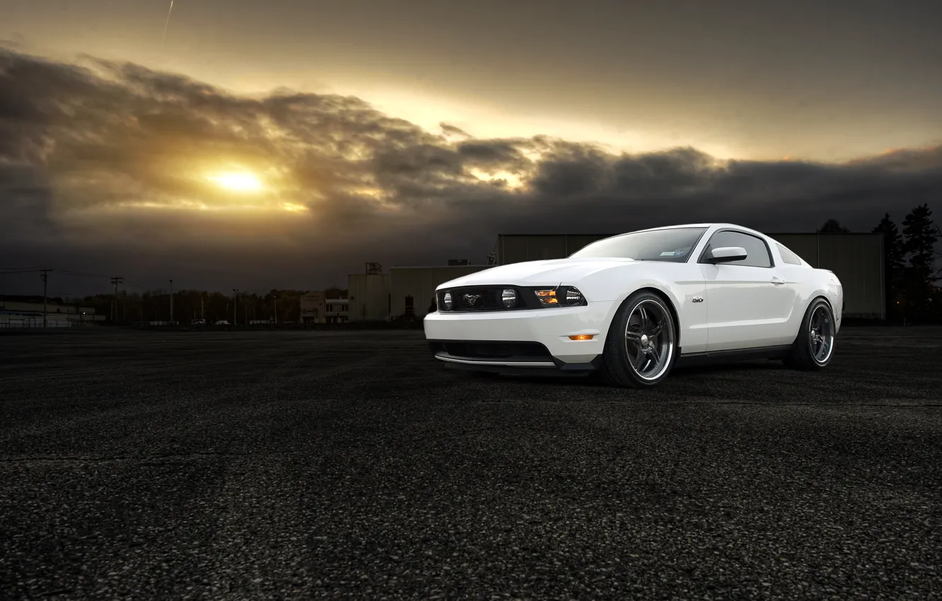 Фото обои белый, солнце, закат, Mustang, Ford, мустанг, white, мускул кар