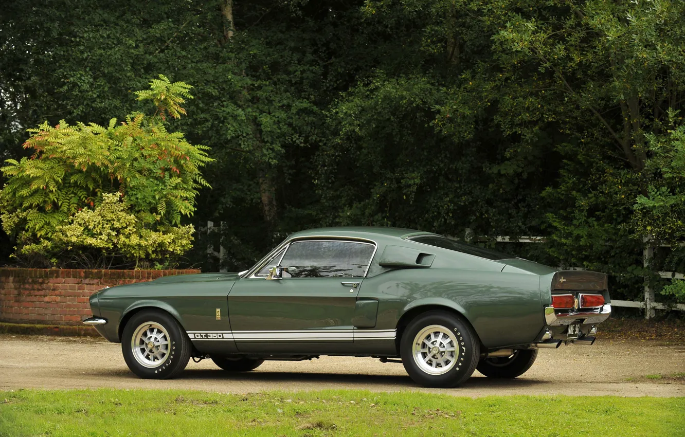 Фото обои Ford Mustang, 1967, Muscle Car, Shelby GT350
