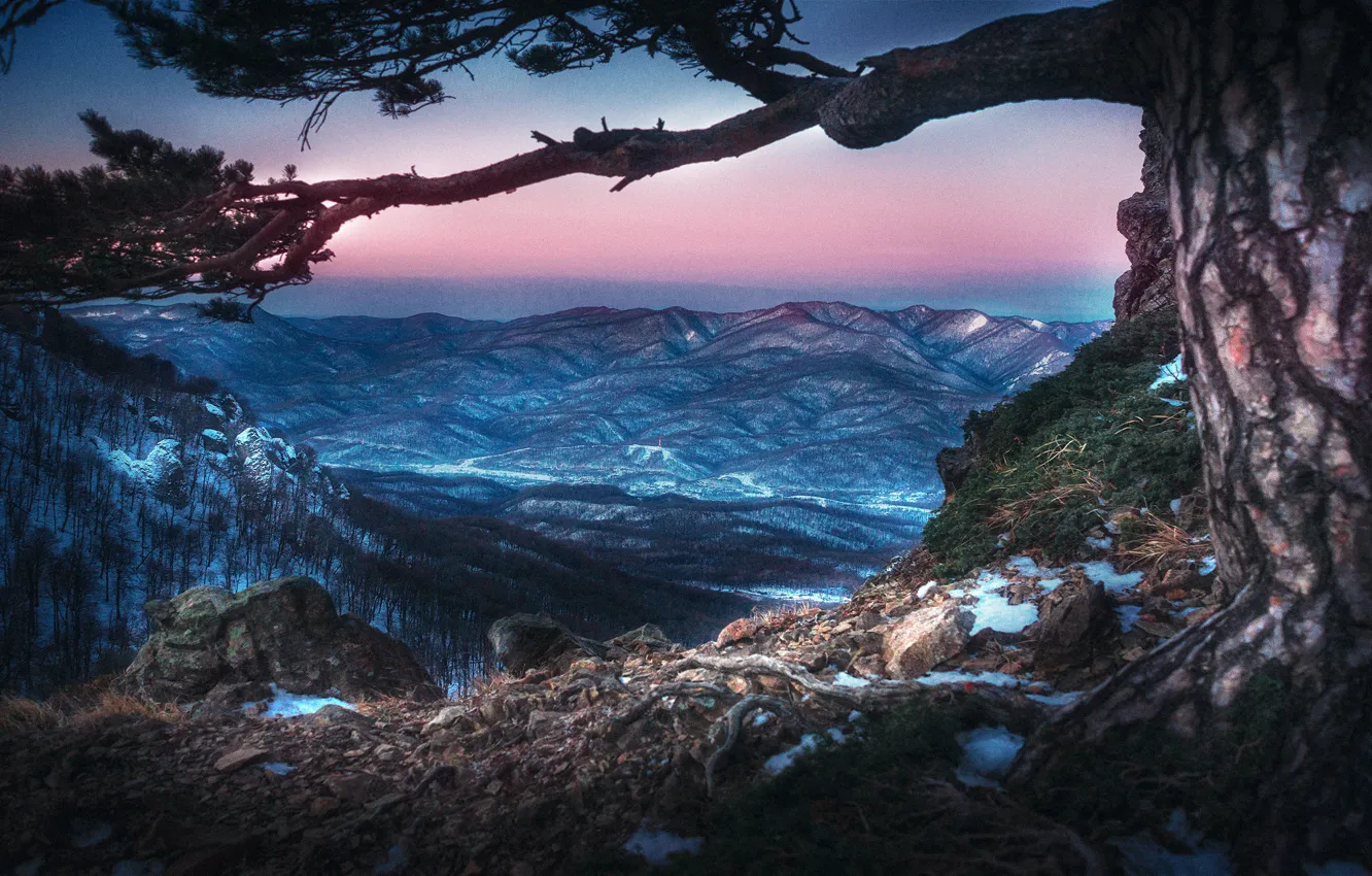 Фото обои зима, пейзаж, горы, природа, дерево, Туапсе, сумерки