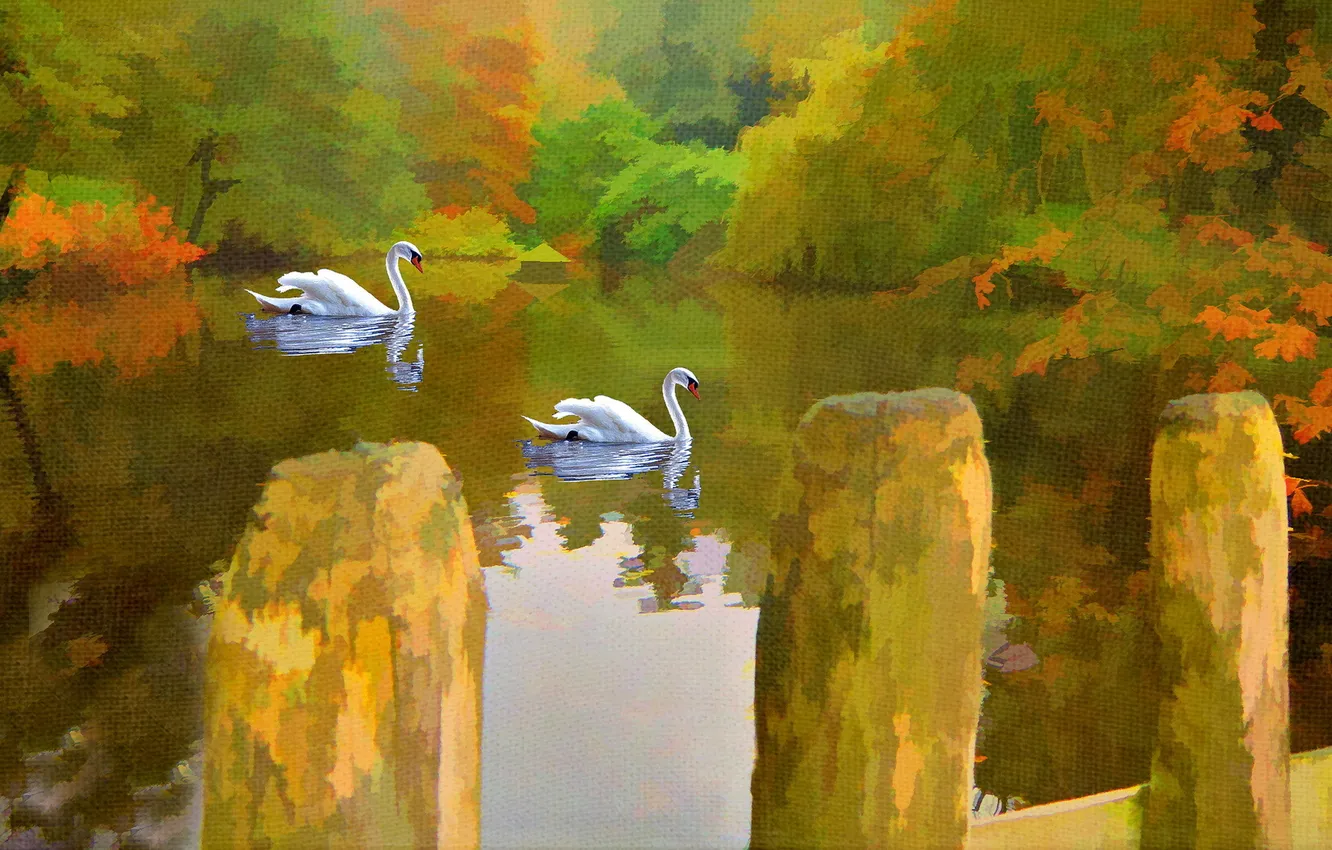 Фото обои озеро, картина, лебеди