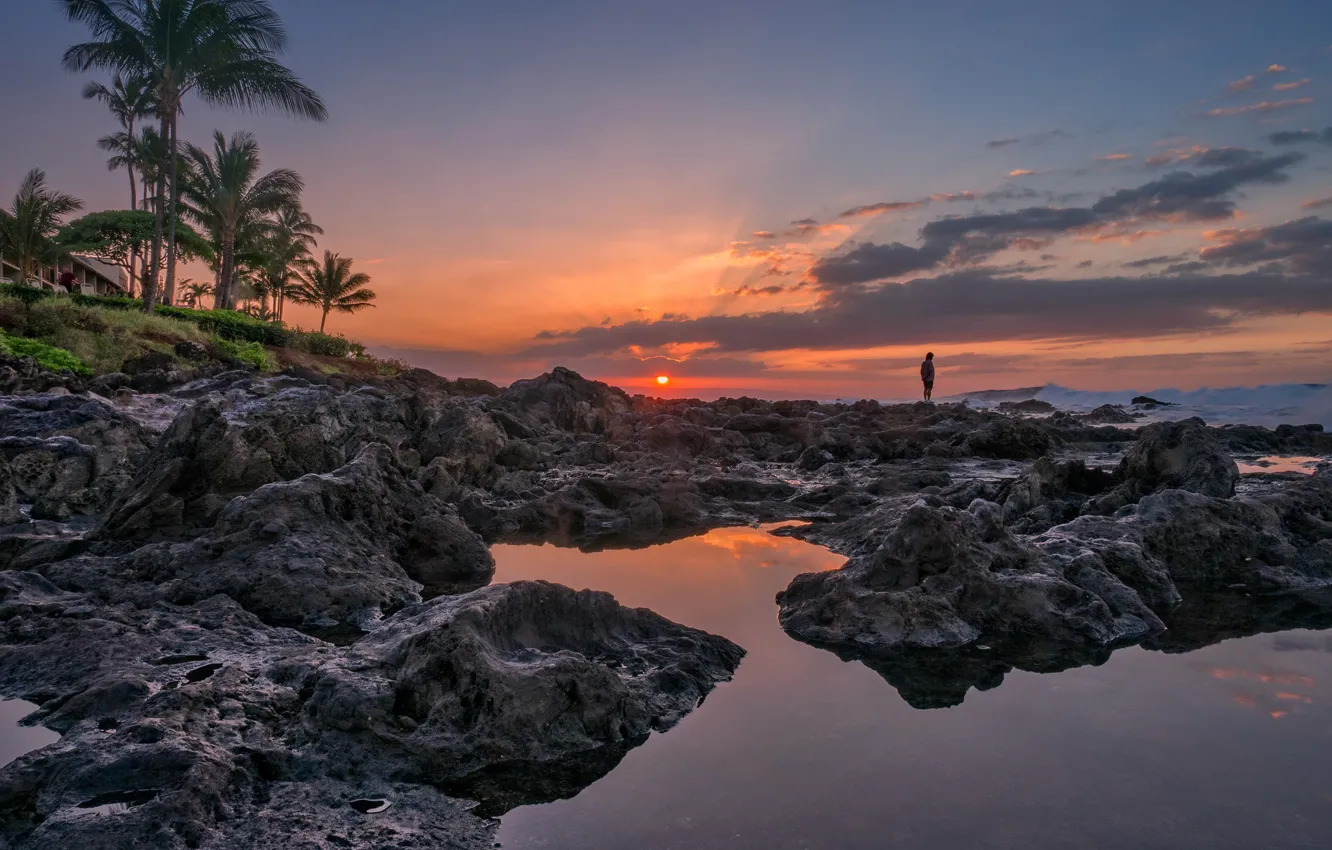Фото обои закат, пальмы, океан, побережье, Гавайи, Hawaii, Мауи, Maui