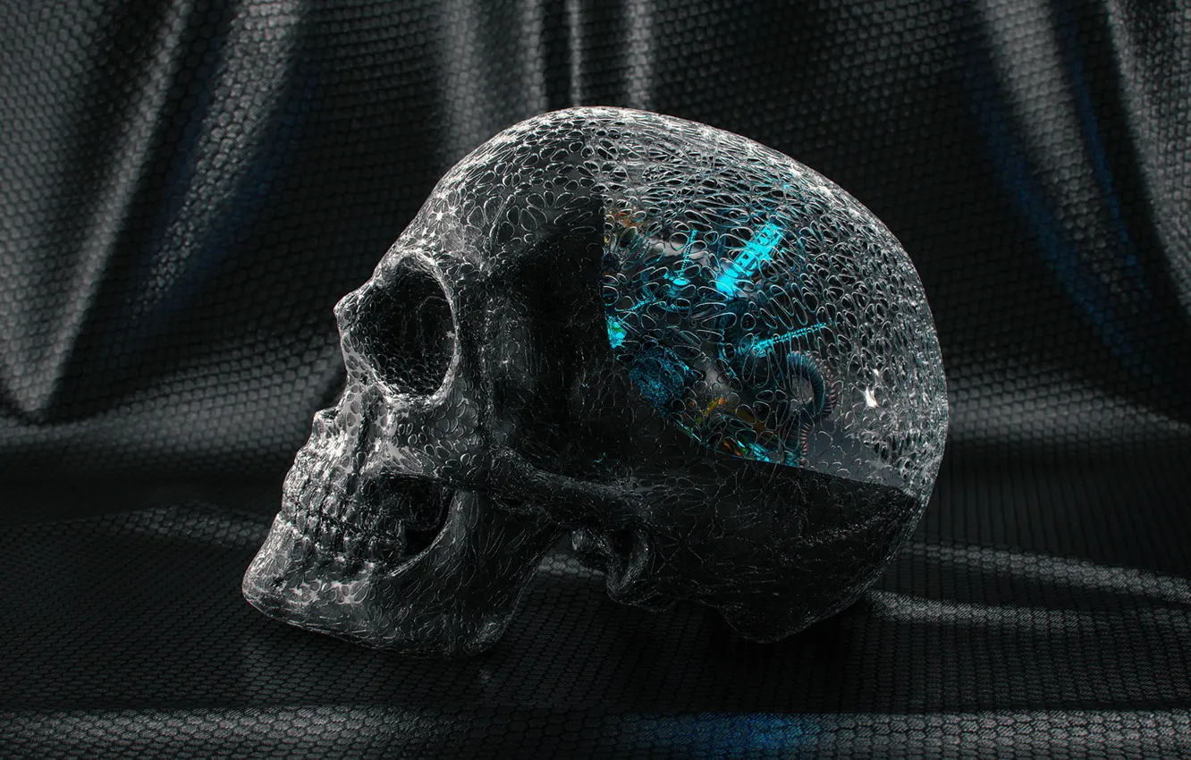 Фото обои прозрачность, череп, зубы, материал, Skull Study