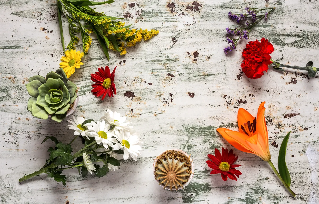 Фото обои цветы, colorful, wood, flowers, composition, floral