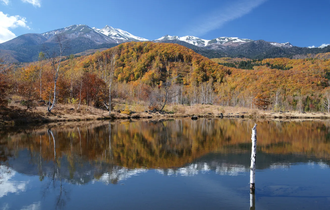 Фото обои осень, деревья, горы, озеро, холмы, ствол