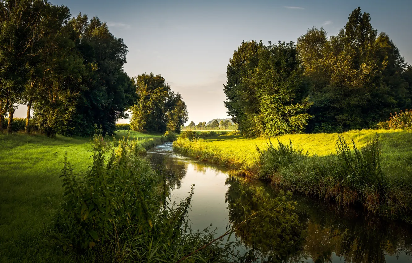 Фото обои деревья, река, утро, Germany, луга, Bavaria, Burghoefe