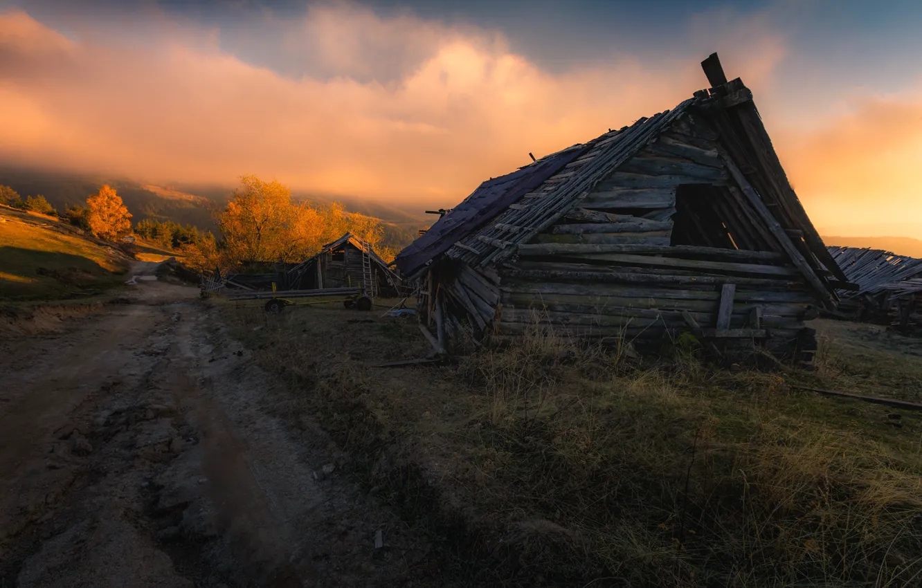 Фото обои дорога, осень, дома