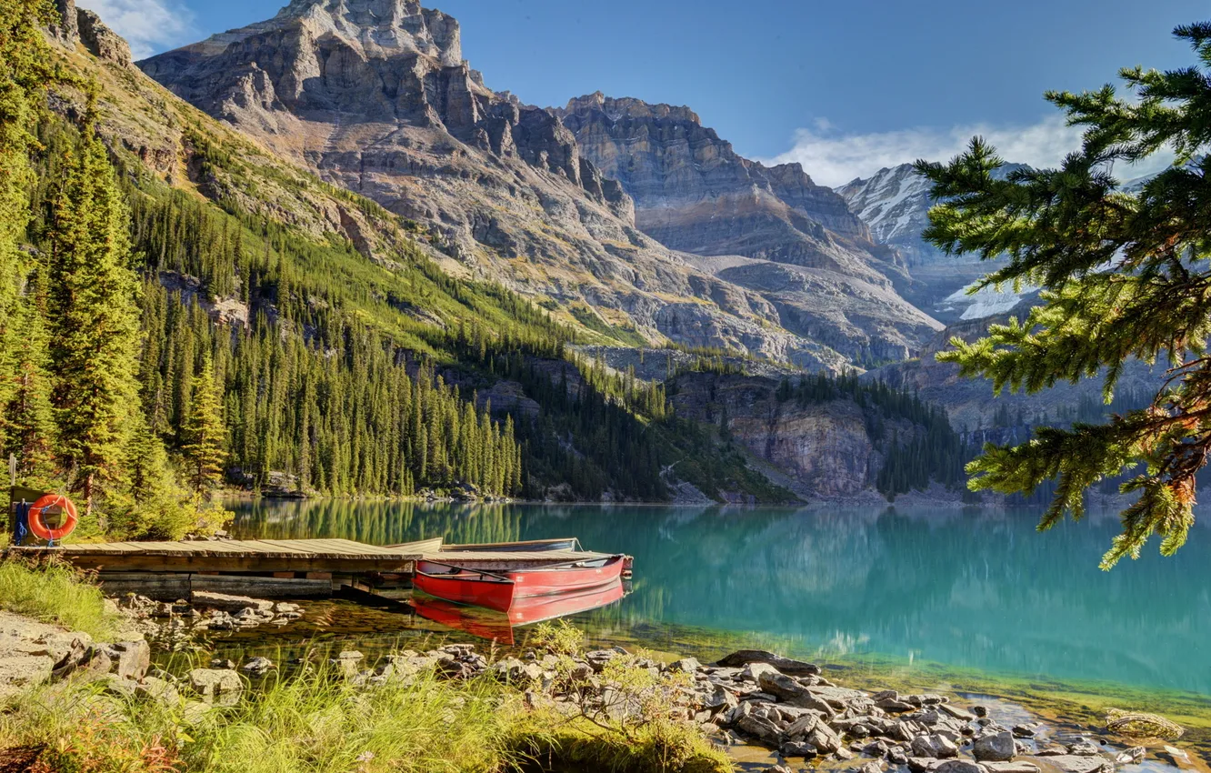 Фото обои forest, trees, water, mountains, boat, Lake