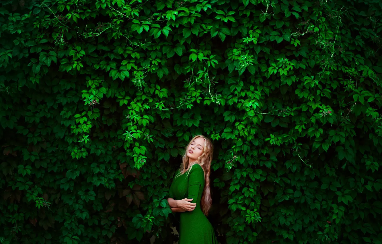 Фото обои зелень, девушка, блондинка, фотограф, Elena, green dress, дикий виноград, Лена